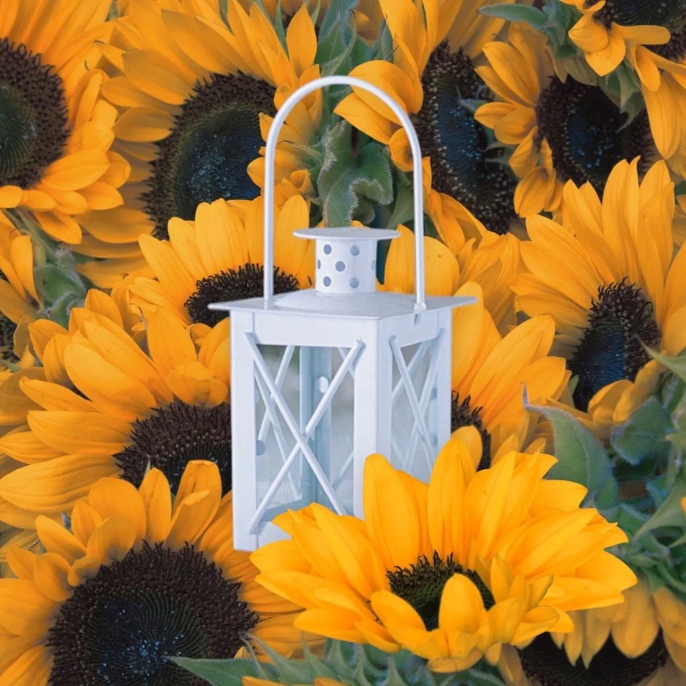 White Lantern Candle Holder - Elegant Wedding Favors for Guests